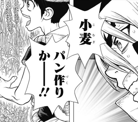 b222f067 s - 【Dr.STONE90話感想】千空、今度はパン作りで食料革命へ!! b222f067 s - 【Dr.STONE90話感想】千空、今度はパン作りで食料革命へ!!