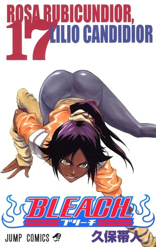 【画像】「BLEACH」の浦原喜助と夜一様って、そういう大人の関係なの？？？