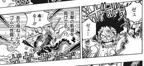 ゴムゴムの実