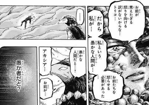 アカシア2 (4)