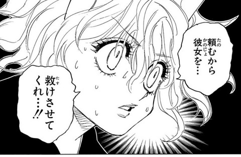ピトー