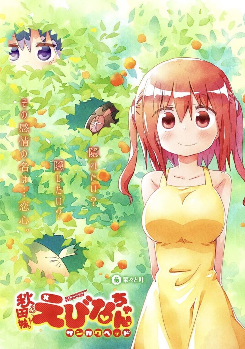 秋田妹 えびなちゃん 最終回感想 海老名ちゃんとタイヘイ 恋の結末は 最強ジャンプ放送局 秋田妹 えびなちゃん 最終回感想 海老名ちゃんとタイヘイ 恋の結末は 最強ジャンプ放送局