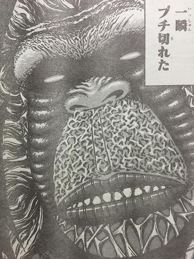トリコ 306話ネタバレ 猿王バンビーナ トリコ達にブチ切れ 最強ジャンプ放送局 トリコ 306話ネタバレ 猿王バンビーナ トリコ達にブチ切れ 最強ジャンプ放送局