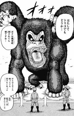 トリコ で作中最強のゴリラｗｗｗｗｗｗｗｗｗｗｗｗ 漫画まとめ うさちゃんねる