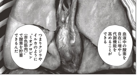 リカルド