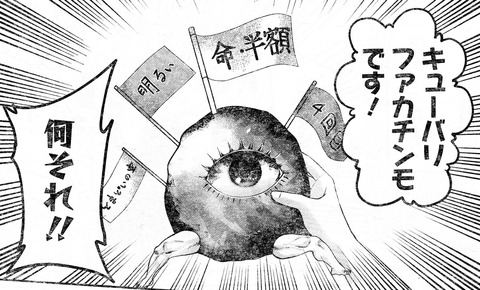 キューバリファカチンモ