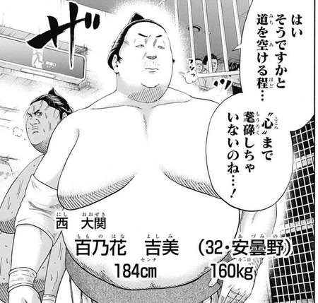 百乃花