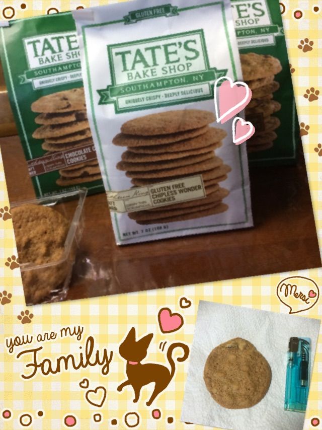 メチャ美味しいクッキー発見 １９匹 Aの猫と暮らすオバチャマ