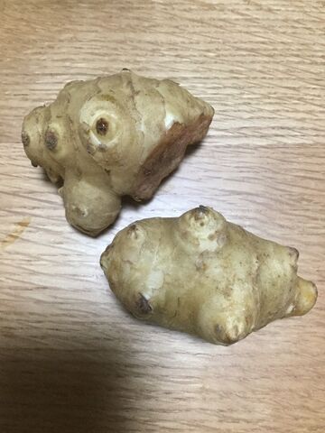 菊芋と豚肉の煮物 菊芋は身体に良い成分が入っている 料理したことないolが料理できるようになるまでの軌跡