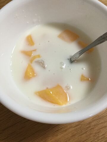 マンゴープリン入り牛乳寒天 どろどろのままw 失敗作公開 料理したことないolが料理できるようになるまでの軌跡 マンゴープリン入り牛乳寒天 どろどろのままw 失敗作公開 料理したことないolが料理できるようになるまでの軌跡