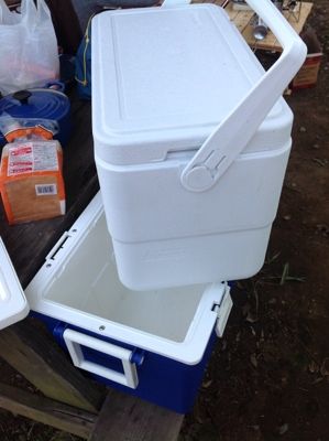 お試し コールマン エクストリーム28qt ダブルクーラー体制 量は質を凌駕する お試し コールマン エクストリーム28qt ダブルクーラー体制 量は質を凌駕する