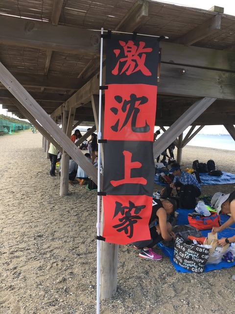 87cf-330d-44aa-bf22-ca7006a766cf-p
