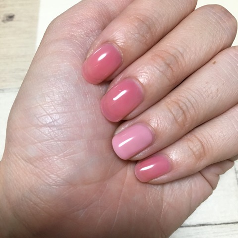 C40D7C46-7791-49A8-8397-4B8B0DC19720