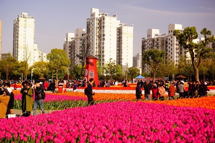 DSC02189
