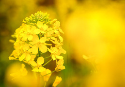 LRM_EXPORT_55832400817402_20190324_190500644