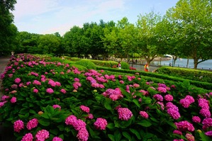 DSC02841