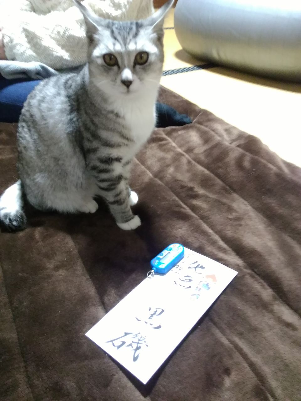 イメージ 4