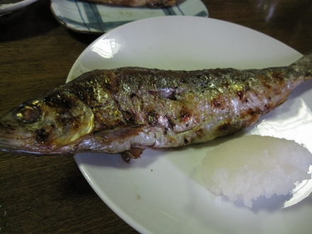 にしん
