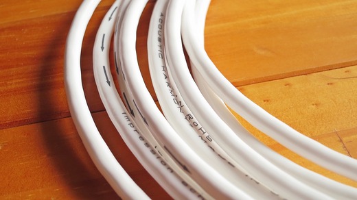 ¥¢¥³¡¼¥¹¥Æ¥£¥Ã¥¯¥Ï¡¼¥â¥Ë¡¼N1