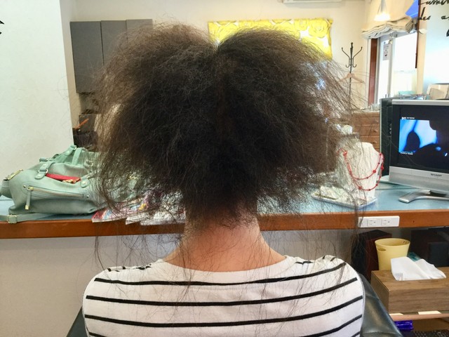 連珠毛の縮毛矯正 Hair Room Pastelの縮毛矯正の現場日記 連珠毛の縮毛矯正 Hair Room Pastelの縮毛矯正の現場日記