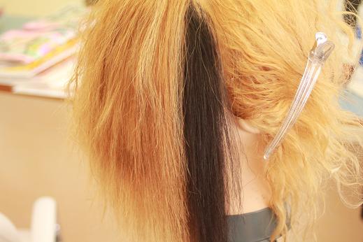 ブリーチウィッグに香草カラー Hair Room Pastelの縮毛矯正の現場日記 ブリーチウィッグに香草カラー Hair Room Pastelの縮毛矯正の現場日記