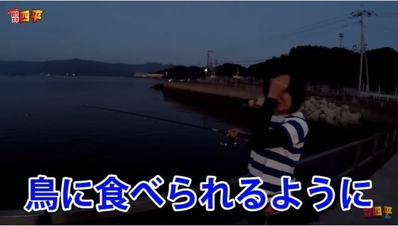 Pastelmoon1259のblog 朝釣り女子 Pastelmoon1259のblog 朝釣り女子