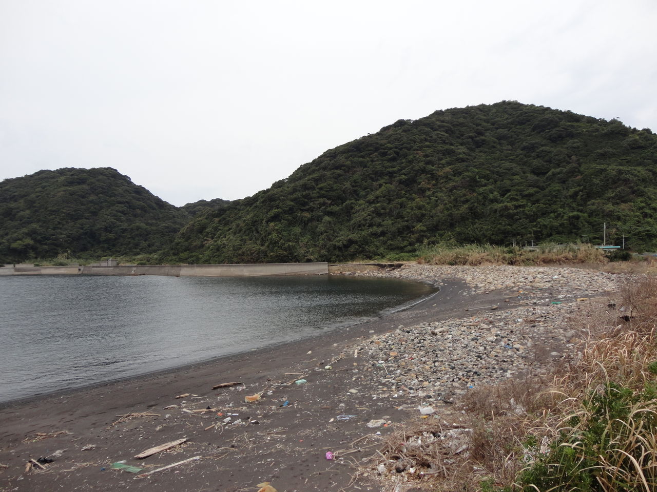 天草での地質巡検 その2 アマチュアl v b研究家 pastoraleの徒然日記 天草での地質巡検 その2 アマチュアl v b研究家 pastoraleの徒然日記