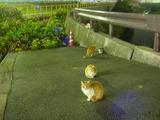 定点観察地ファミリー
