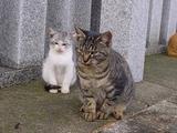 2ショット。
