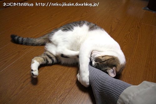 足を蹴り蹴り。