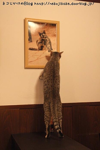写真のチェック。