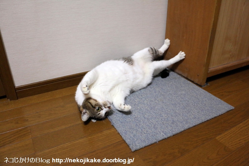 2016112503何やってんの?