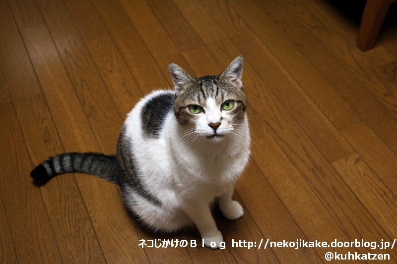 2020061705用がある。1