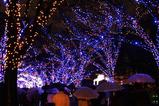 OSAKA 光のルネサンス。その3