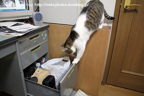 ここには何かいいものがある。
