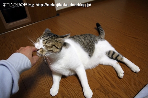 うにーっ。