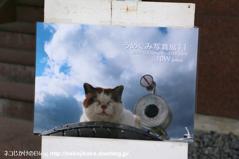 2017052207うめぐみ写真展11@ 10WGallery1