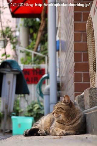 2013052602お休みの日。