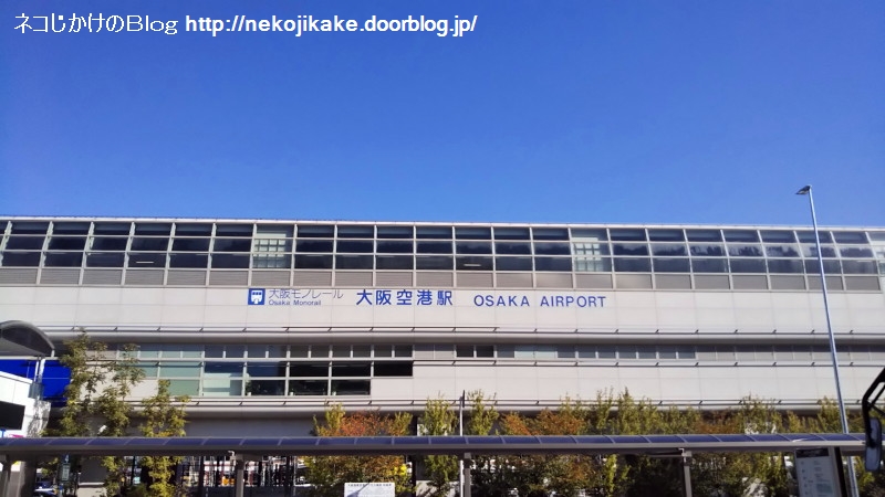 2019110904久し振りの飛行機。1