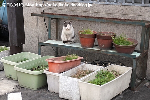 持ってくなよ。