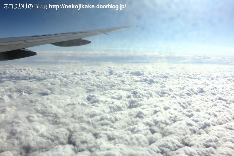 2019110908久し振りの飛行機。5