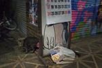 町猫2012DM