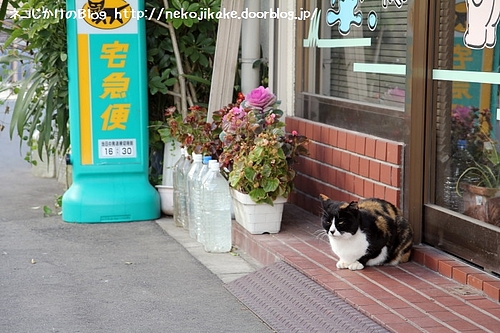 今日は開いてるで。