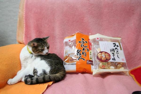 今年もこの日がやってきた。シマ1