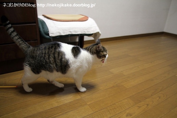 2014012907今日はこれやな。