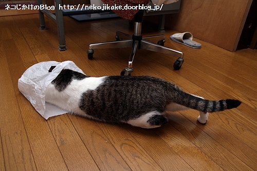 これで一発当てたれ! って何だか二番煎じだろ?
