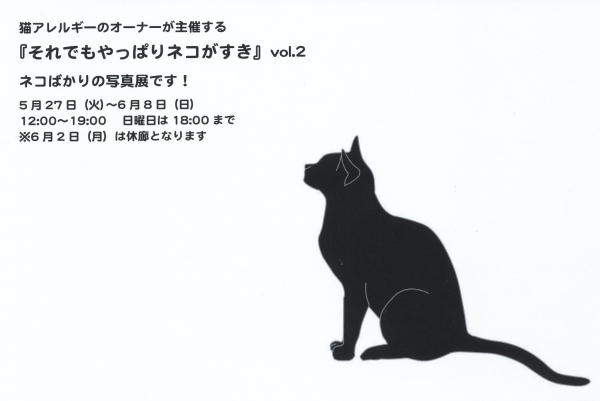それでもやっぱりネコがすきvol2DM11