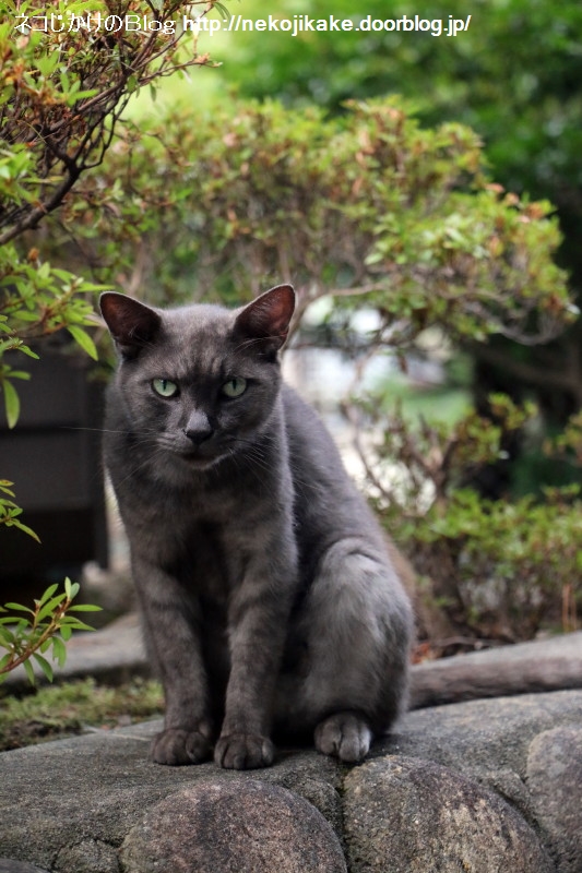 2018081304ǭ˲ޤ롣