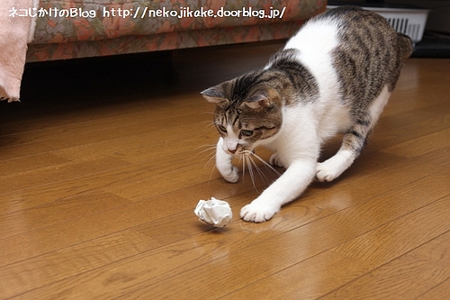 もう少しあと少し。