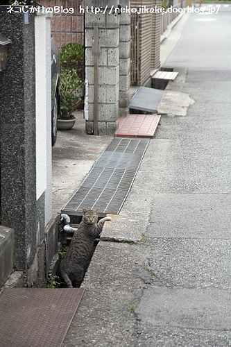 安全確認。